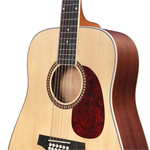 Ashton D25/12NTM 12 Strings