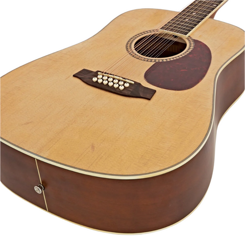 Ashton D25/12NTM 12 Strings