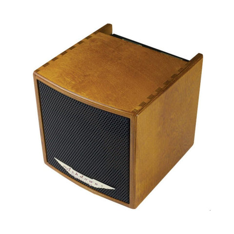 Ashdown Acoustic AA-PWR-CUBE-40 40-watt 1 x 5" Acoustic Guitar Powered Monitor